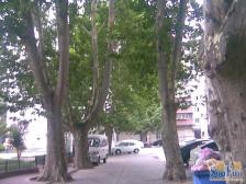 稳定纬五 ⑧忠 双气 一楼带院子