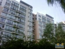 远洋风景一二层复式,带前后花园精装修业主诚售