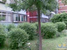 中建一局北院 南向一居 采光好 小区中间安静