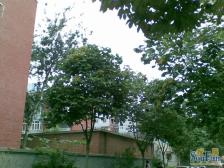 中建一局北院 3室1厅 南 北