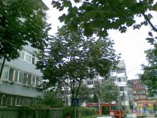 中建一局北院 2室1厅 南