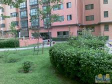 七里庄 庄维二期 南北通透大平层