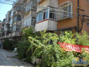 圆明园东里南向一居室采光好,视野好,费用低