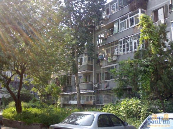 桃园南街10号院实景图