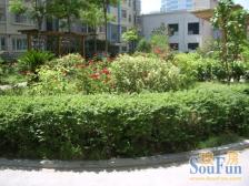 出行便利 停车方便 满五唯一 诚心出售 随时看房