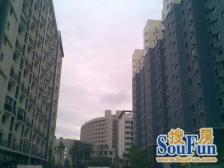 外高一路之隔 西现代城 小高层 中间楼层