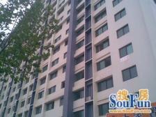 西现代城 1室0厅 西