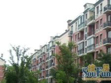 西现代城标间 外 高 对 面 业主诚心出售