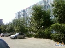上地街道东旭园小区南北全明格局两居