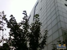 韦伯时代中心1室1厅西南