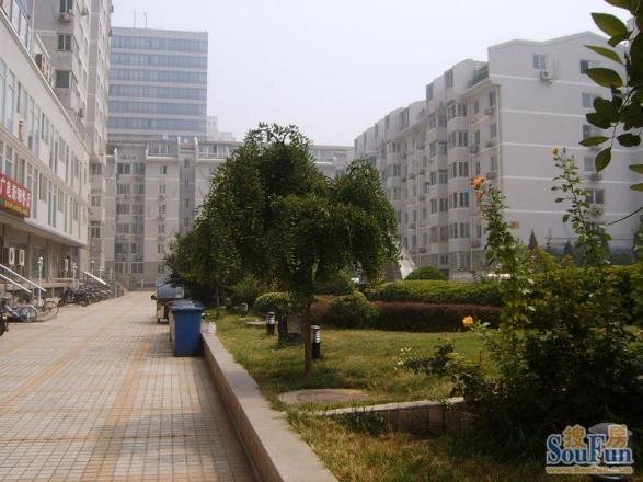 广电部小区实景图