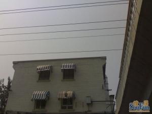 天坛北里,出门是天坛公园,小区在改造,楼层采光好