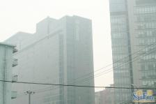 住邦20001室1厅西南
