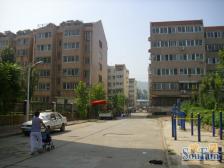 明星小区北区好房子,业主诚心出售,值得购买!