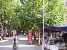 经十路 明星小区北区 三楼 边户 产权清晰 有菜市场