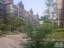 老街四期 140平 南北通透三房 中间位置 采光好有钥匙