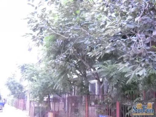  ���⡤С���졤�����ʵ��ѧ��1�� 