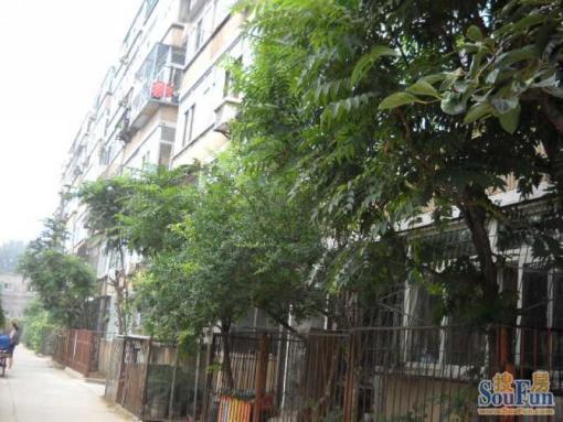  ���⡤�����ʵ��ѧ����Ժ2��1�� 