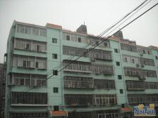 东兴一区 3室1厅 南 北