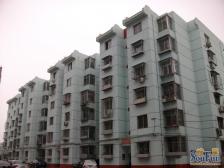 东兴一区 2室1厅 南 北