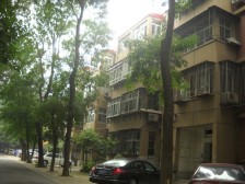 首都机场南路西里2室1厅南
