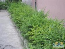 地铁口 晖达优胜小区 温馨双气三房 诚心出售