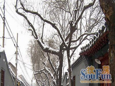 小鹁鸽胡同实景图