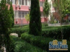 新上德胜门新德街南北两居业主诚意出售不临街户型方正