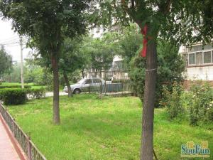 乔庄运河艺苑东街满五年一套大客厅双窗小区已改造