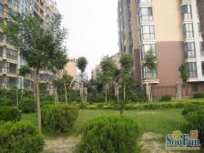 金水河边 满五唯一 电梯 朝南