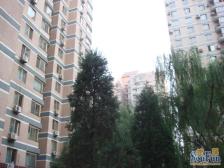 莲香园 3室1厅 东 北