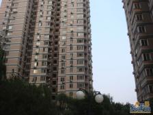 西三环六里桥部位家属院莲香园新上优质二居室