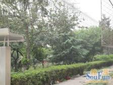 南北通透,中间三层,无遮挡,采光好,小区环境好