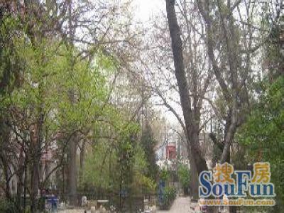  ����·17��Ժ2��1��1����������4300.00Ԫ/�³��� 