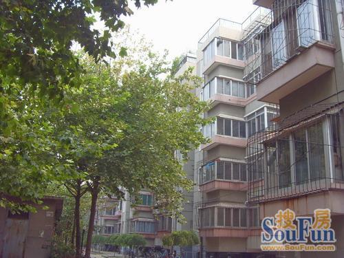省粮油公司宿舍实景图
