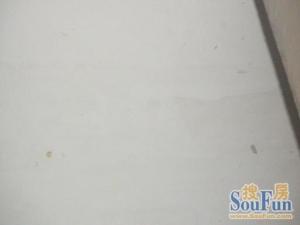 电梯房,出门地铁口,年代新朝南户,采光好