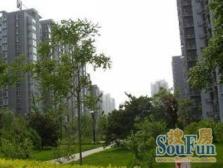 近天坛医院 鸿业兴园二区 满五唯一 采光视野好 只有契税