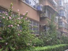 多层2楼 双气 收拾的 干净 看房方便