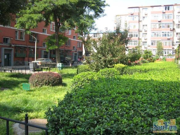 纺织小区实景图