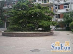 假期可看小关东街二层管理好距离地铁近