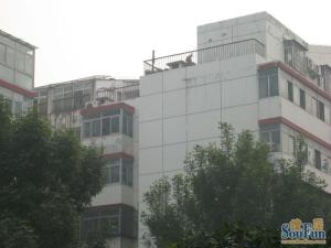 育人里小区3室1厅南北
