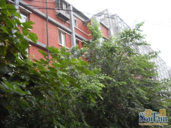 平安里小区实景图