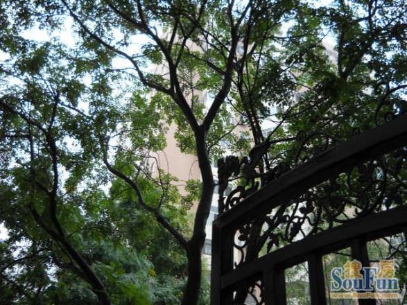 西什库小区实景图
