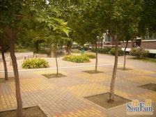 齐鲁花园 两室两厅 南北通透 采光好 带产权地下室