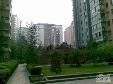 北三环西路48号院3室2厅东北