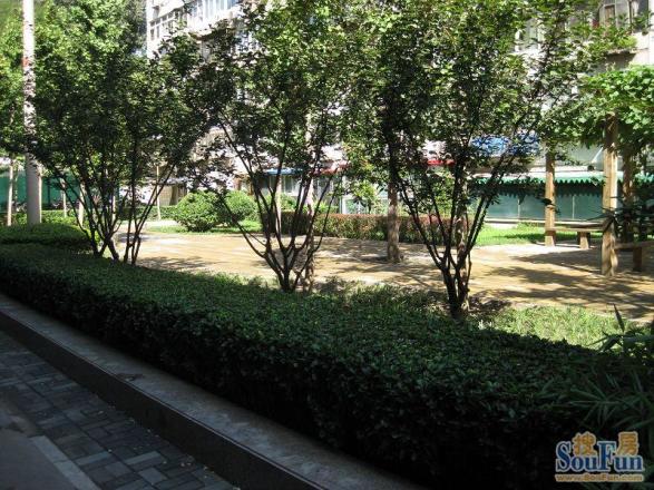 玉石胡同实景图