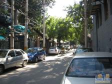 金宝街·干面胡同·1室·1厅