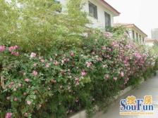 地铁口,别墅区,精装两房,拎包入住,南北通透随时看