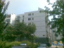 朝内小区 南北三居室 房主诚意出售