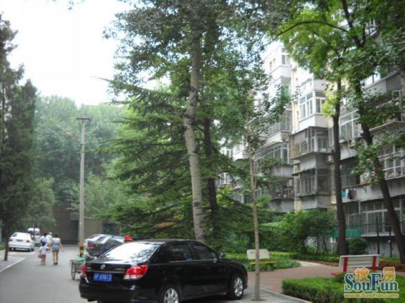 玉皇庄小区实景图